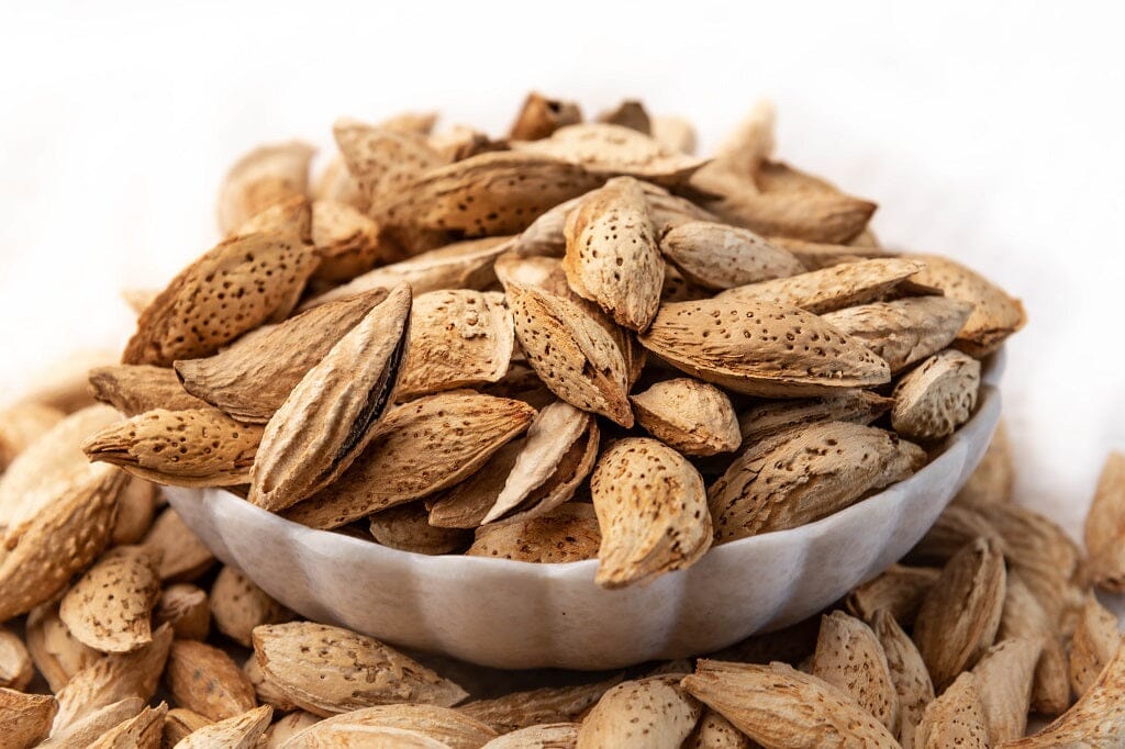 Almond Afghani Paper Shell Badam Nuts NutzHouse