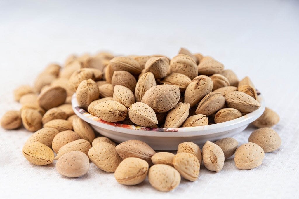 Almond Shell Bury Badam Nuts NutzHouse 