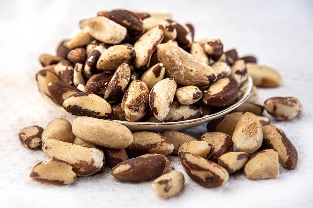 Brazil Nuts Nuts NutzHouse 